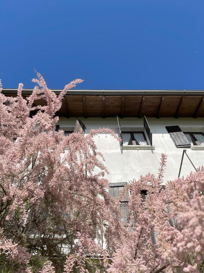 Terrazza sul lago Ameno Esterno foto